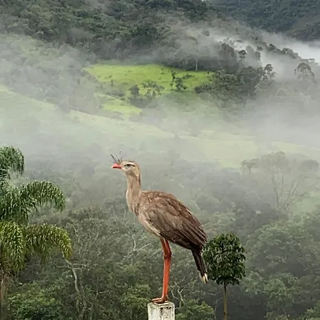 Sitio Maara Bed & Breakfast Nova Friburgo Exterior photo